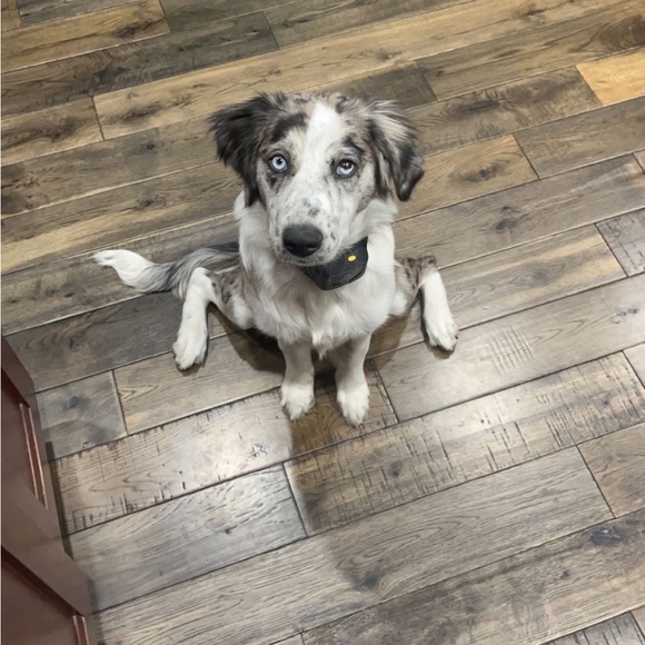 Meet your Posher, Tiffany - Picture 4 of 5